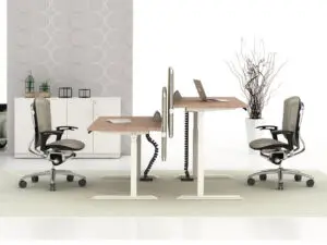 sit stand desk