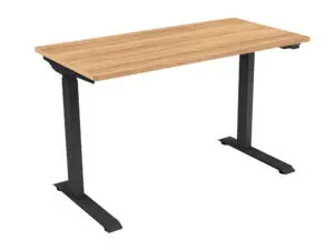 Single Motor Height Adjustable Desk